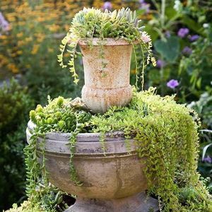 Meet your Posher, Kitty